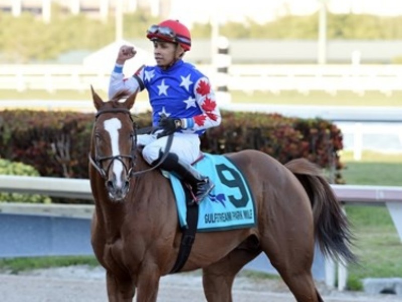 Pegasus World Cup Contenders Complete Final Preparations Image 2